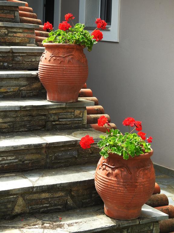Garden House Apartament